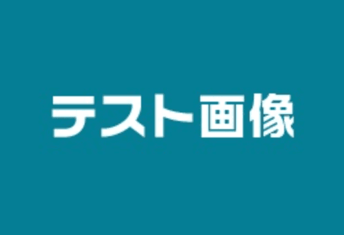 ( 開発用 ) test USA Inc.............